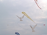 Cervia 2011-133